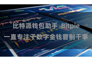 比特派钱包助手 Bitpie一直专注于数字金钱管制干事