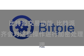 比特派交易功能 比特派齐会对这些操作进行加密处理