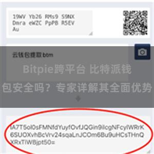 Bitpie跨平台 比特派钱包安全吗？专家详解其全面优势