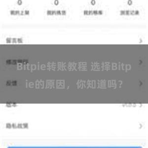 Bitpie转账教程 选择Bitpie的原因，你知道吗？