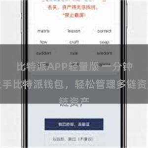 比特派APP轻量版 一分钟上手比特派钱包，轻松管理多链资产