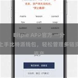 Bitpie APP官方 一分钟上手比特派钱包，轻松管理多链资产