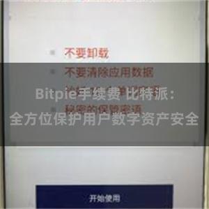 Bitpie手续费 比特派：全方位保护用户数字资产安全