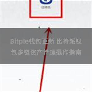 Bitpie钱包更新 比特派钱包多链资产管理操作指南