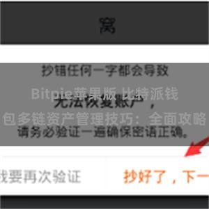 Bitpie苹果版 比特派钱包多链资产管理技巧：全面攻略