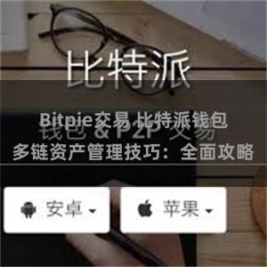 Bitpie交易 比特派钱包多链资产管理技巧：全面攻略