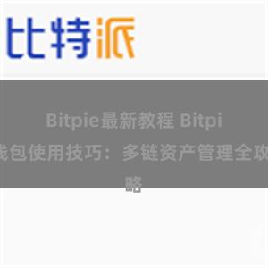 Bitpie最新教程 Bitpie钱包使用技巧：多链资产管理全攻略