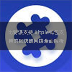 比特派支持 Bitpie钱包支持的区块链网络全面解析