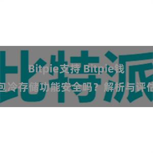 Bitpie支持 Bitpie钱包冷存储功能安全吗？解析与评估