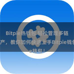 Bitpie热钱包 轻松管理多链资产，教你如何快速上手Bitpie钱包！