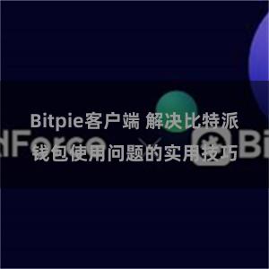 Bitpie客户端 解决比特派钱包使用问题的实用技巧