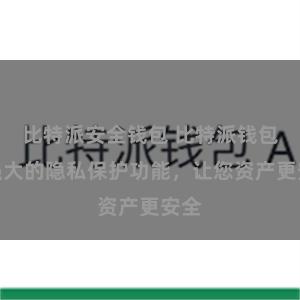 比特派安全钱包 比特派钱包：强大的隐私保护功能，让您资产更安全