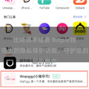 比特派手续费 Bitpie钱包：强大的隐私保护功能，守护您的资产