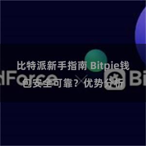 比特派新手指南 Bitpie钱包安全可靠？优势分析