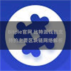 Bitpie官网 比特派钱包支持的主要区块链网络解析