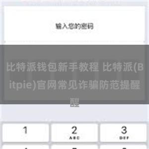 比特派钱包新手教程 比特派(Bitpie)官网常见诈骗防范提醒