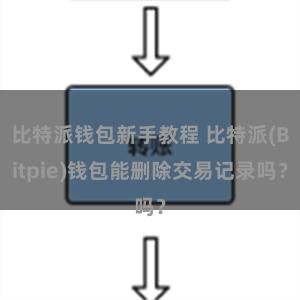 比特派钱包新手教程 比特派(Bitpie)钱包能删除交易记录吗？