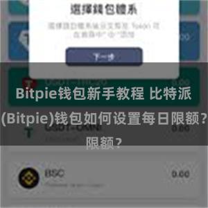 Bitpie钱包新手教程 比特派(Bitpie)钱包如何设置每日限额？