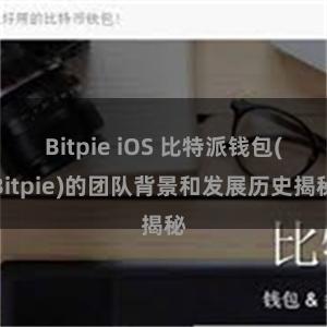 Bitpie iOS 比特派钱包(Bitpie)的团队背景和发展历史揭秘