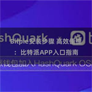 Bitpie安装步骤 高效便捷：比特派APP入口指南