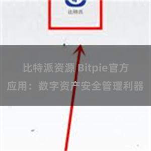 比特派资源 Bitpie官方应用：数字资产安全管理利器