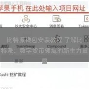 比特派钱包安装教程 了解比特派：数字货币领域的新生力量