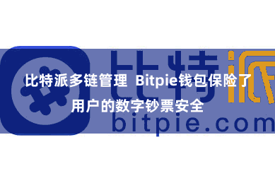 比特派多链管理  Bitpie钱包保险了用户的数字钞票安全