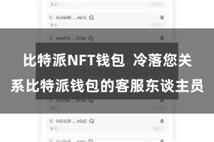 比特派NFT钱包  冷落您关系比特派钱包的客服东谈主员